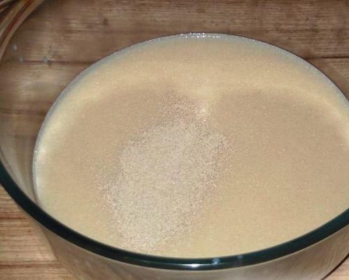 Дрожжевое тесто на оладьи: рецепт на дрожжах оладушек, на сухих как сделать, фото и как завести быстро, приготовление