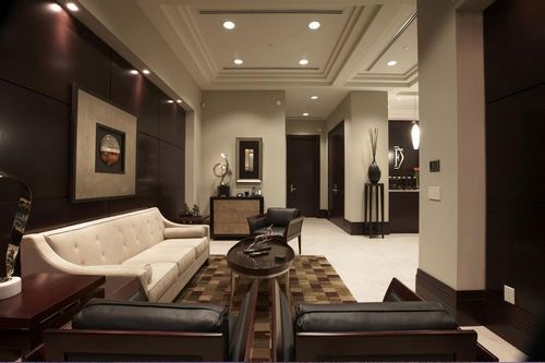Зал в коричневом цвете: мебель и ее тона, фото черной стены, зеленый интерьер, дизайн стенки, светлый зал