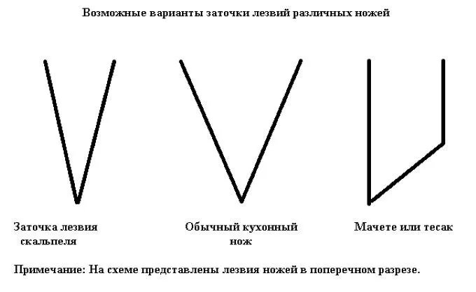 Варианты заточки лезвий ножей