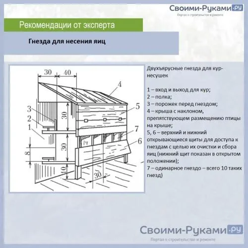 Сколько гнезд Нужно для 20 кур. Гнездо-будка