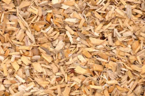 Щепа лиственных пород древесины