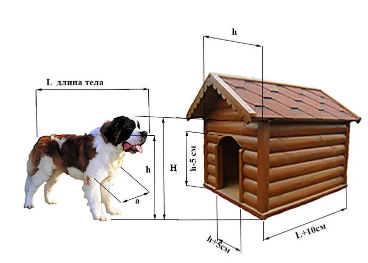 (+135 фото) Будка для собаки своими руками пошаговые инструкции: размеры и утепление, этапы работ, интересные идеи