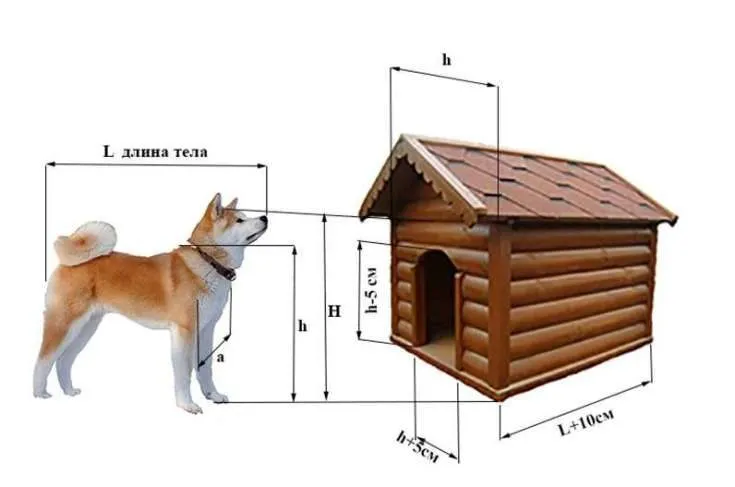 (+135 фото) Будка для собаки своими руками пошаговые инструкции: размеры и утепление, этапы работ, интересные идеи