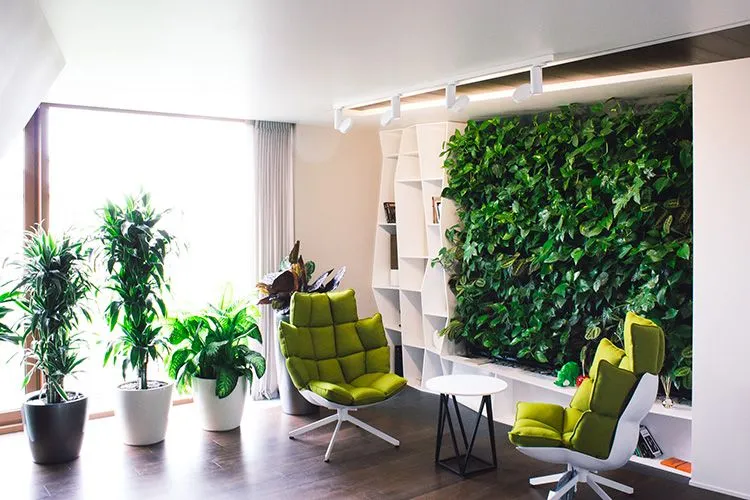 Такие зелёные стены не только экологичны, но и экономичны, растения могут использоваться для оформления салатов и закусок, либо просто скрывать тот элемент стены, который давно требует ремонта.