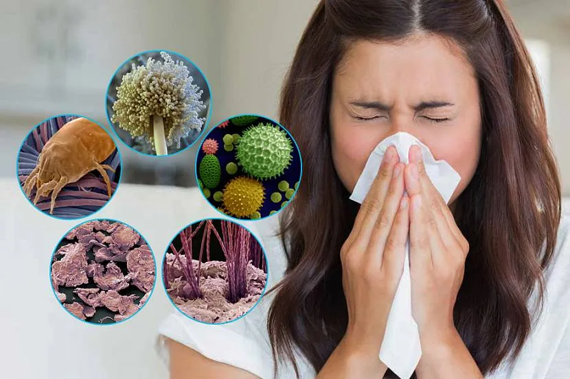 Сухой воздух – причина появления аллергенов