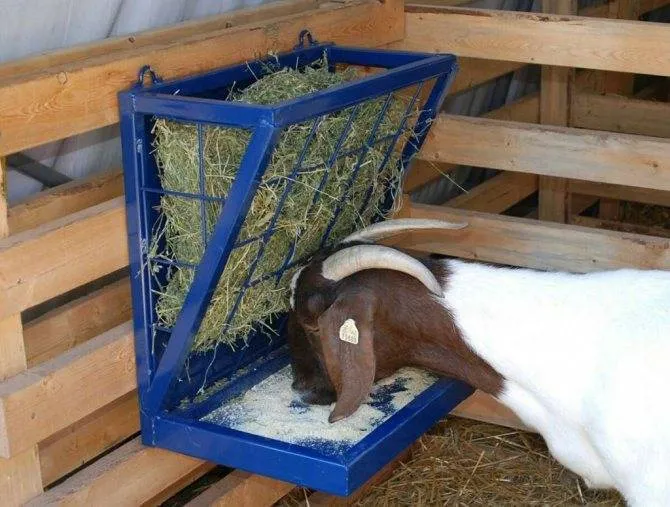Все о сараях для коз