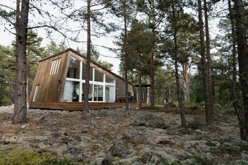 Дома с односкатной крышей одноэтажные в скандинавском стиле