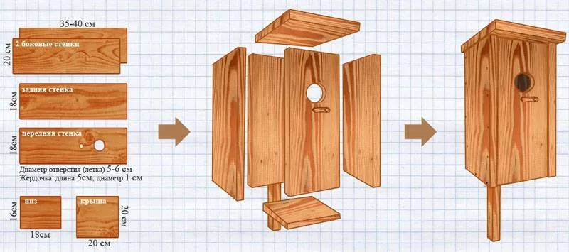 Чертежи с размерами типичного деревянного домика для птиц подойдут для создания качественного аналога из фанеры