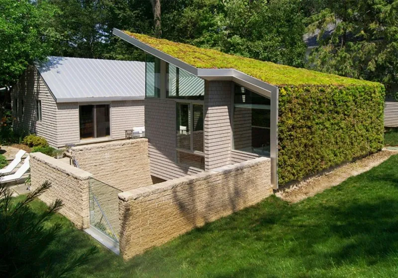 Современный дом с травяной крышей