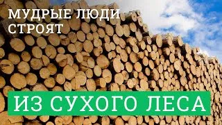 Постер для видео - Мудрые люди строят дома из сухого леса