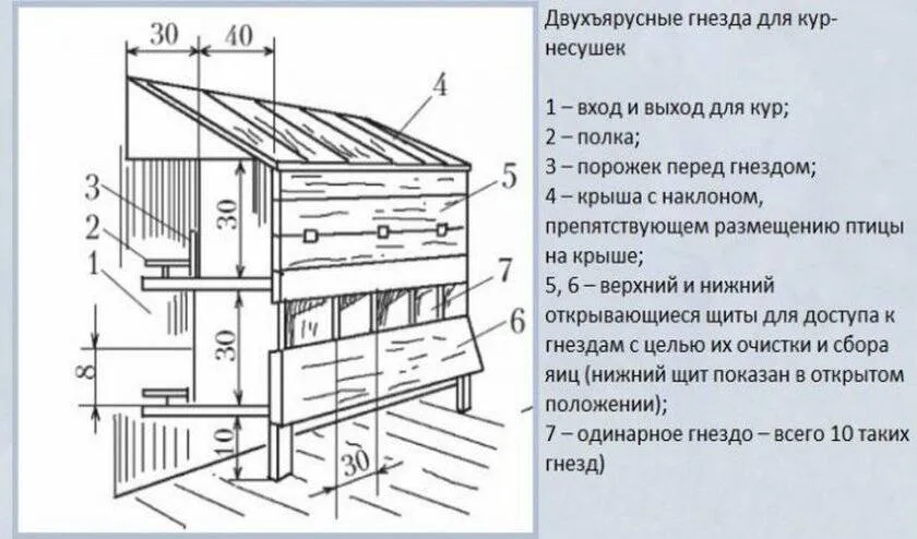 Гнезда для кур 13660