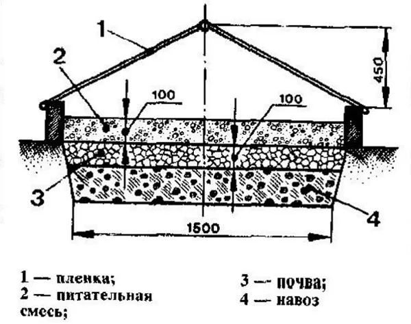 Схема парника