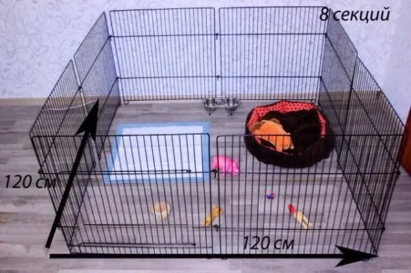 Самые лучшие вольеры для собак и щенков в квартиру: как сделать своими руками дешево и качественно?