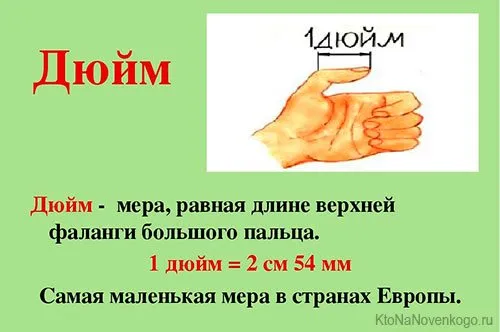 Единица измерения