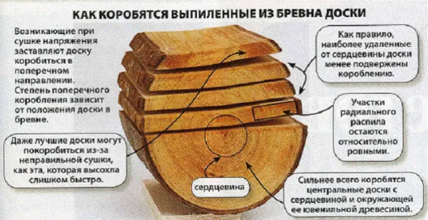 Причины коробления деревянного пола