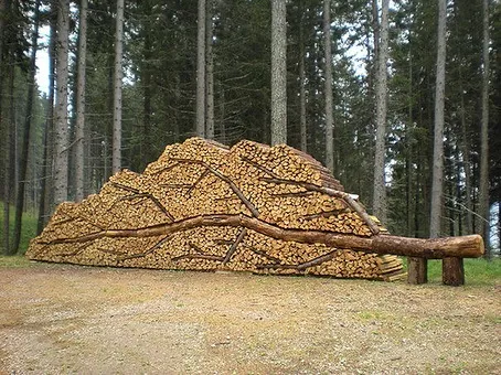 Укладка дров в виде дерева