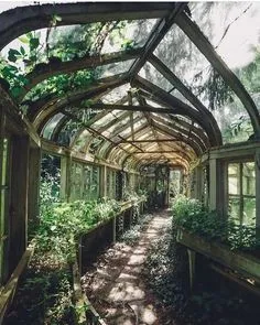 Dream Garden, Garden Room, Overgrown, Abandoned Places, Abandoned Houses, Secret Garden, Future House, Garden Design