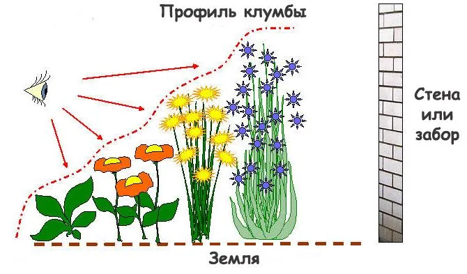 Многоуровневая высадка цветов