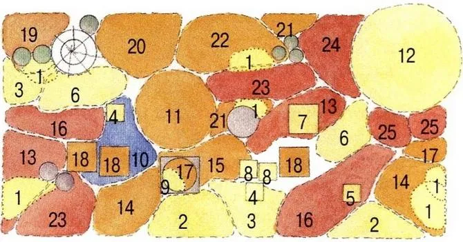 Схема клумбы непрерывного цветения