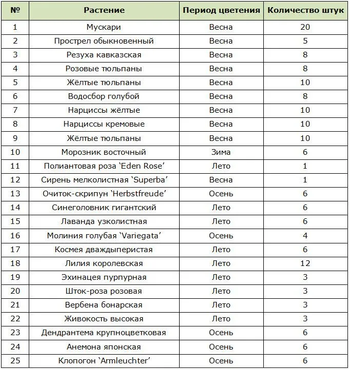 Цветы для клумб непрерывного цветения