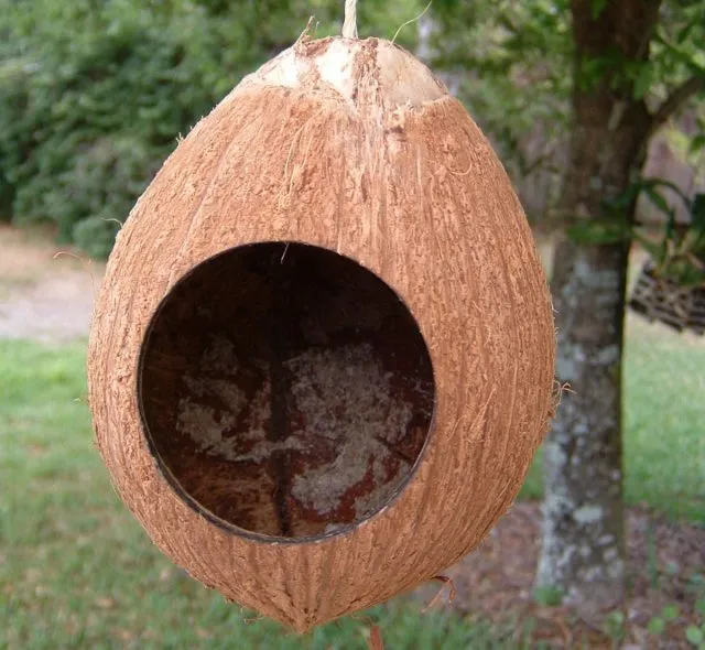 Птичий домик из кокоса