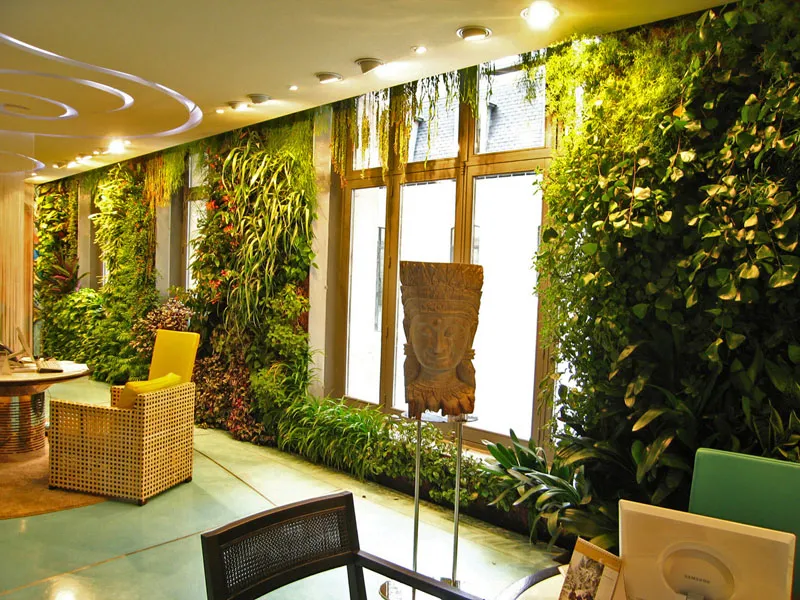Вертикальное озеленение и другие варианты создания зеленых насаждений в квартире