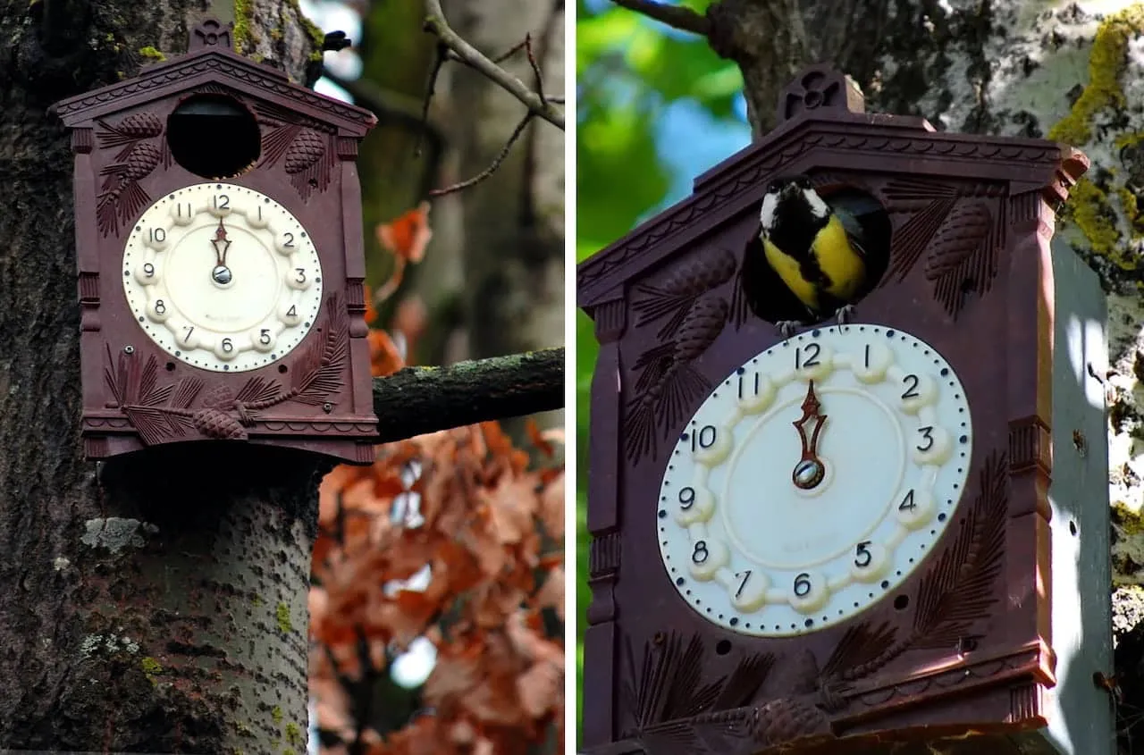 Птичий домик из старых настенных часов – великолепная задумка автора