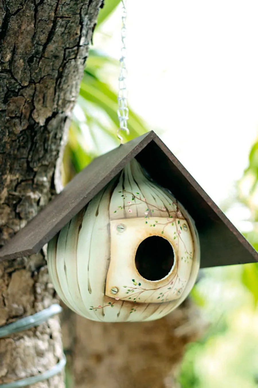 Скворечник из тыквы – простой и доступный способ изготовления жилища для птиц