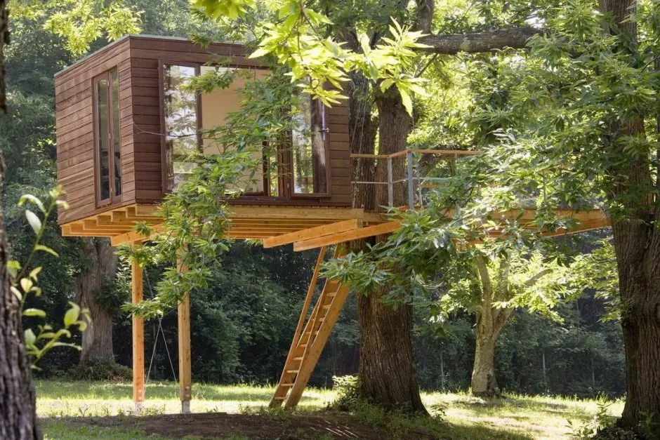 Tree House Кишинев