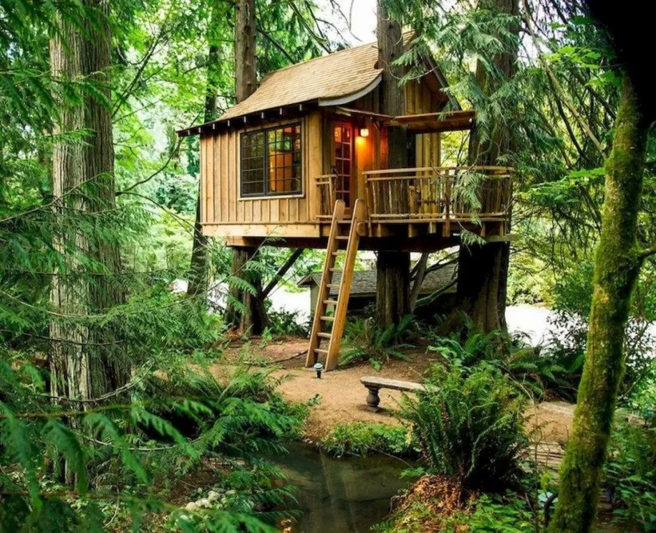 Treehouse домик на дереве