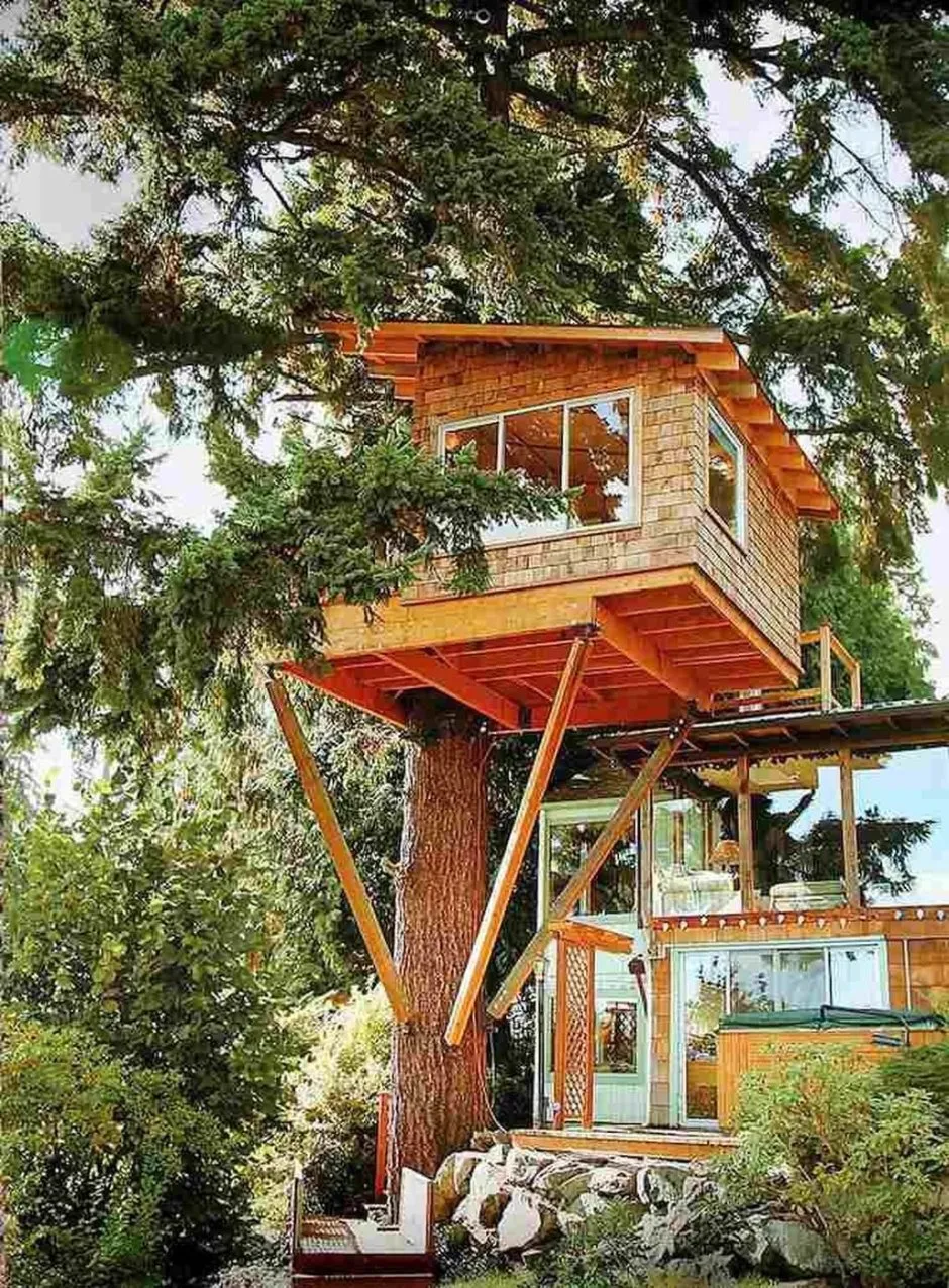 Treehouse домик на дереве