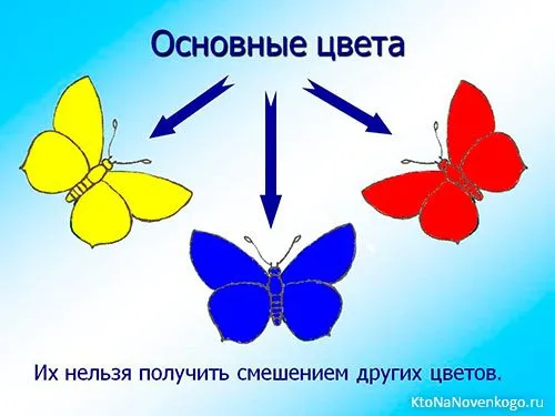 Цвета
