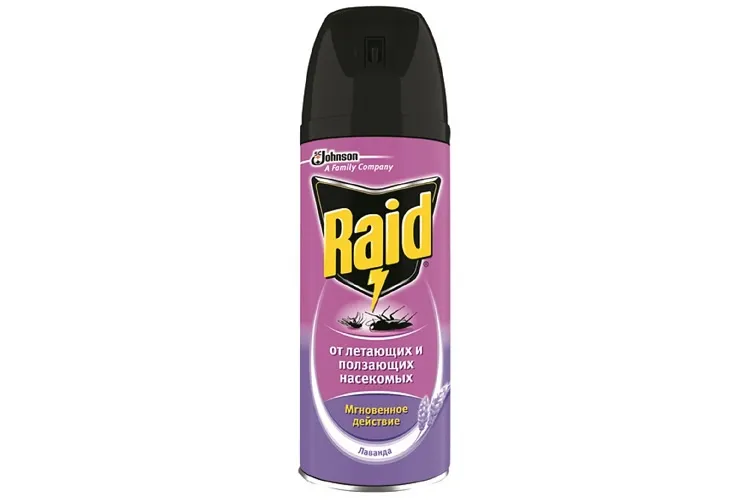 Raid