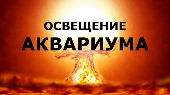 Как выбрать лучшее освещение для аквариума