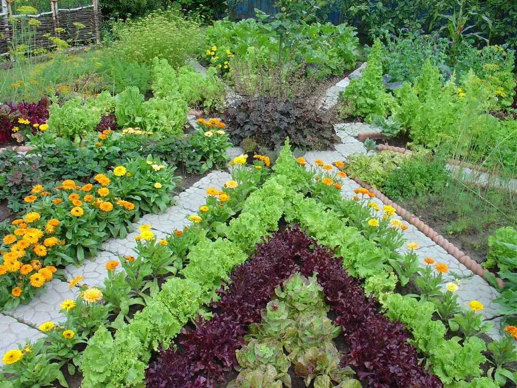 Фото цветов в дизайне огорода
