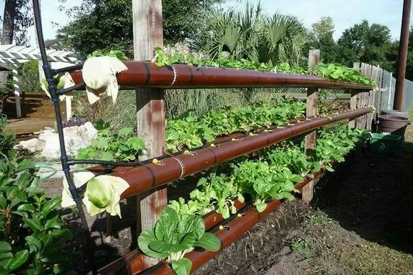 Вертикальные грядки для клубники своими руками из сантехнических труб