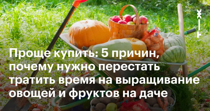 Почему огород может быть не выгоден: 5 ...