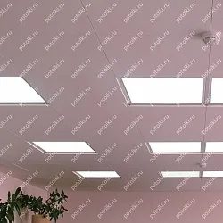  PM_25_1 Потолок и светильники типа армстронг в офисе