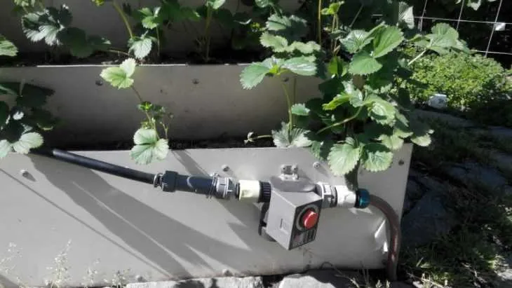 Вертикальные грядки для клубники: как правильно поливать и эффективно выращивать клубнику (120 фото + видео)