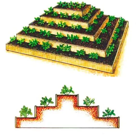 Грядка-пирамида для клубники своими руками: размеры, варианты дизайна фото