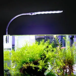 освещение аквариума