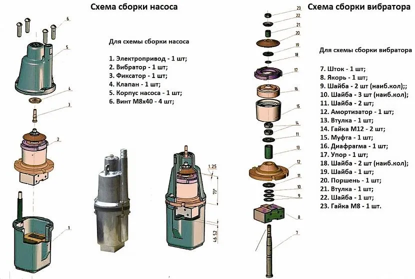 Вибрационный насос в разрезе