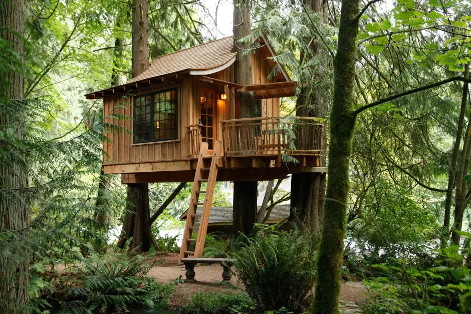 Treehouse Camping Переславль Залесский