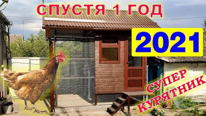 КРУГЛОГОДИЧНЫЙ курятник на даче на 25 ...