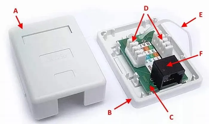 Элементы внешней розетки RJ-45