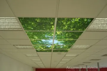 Потолок типа Армстронг Лилия на белой подвесной системе в центре фотопечать на стекле или акриле