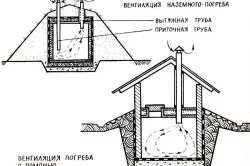 Вентиляция погреба