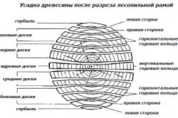 Усадка древесины после разреза лесопильной рамой