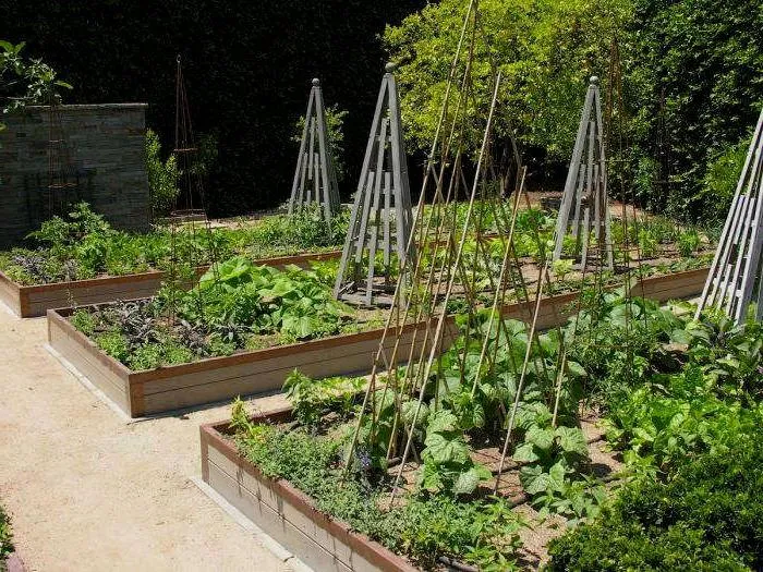 Вертикальные конструкции в дизайне огорода