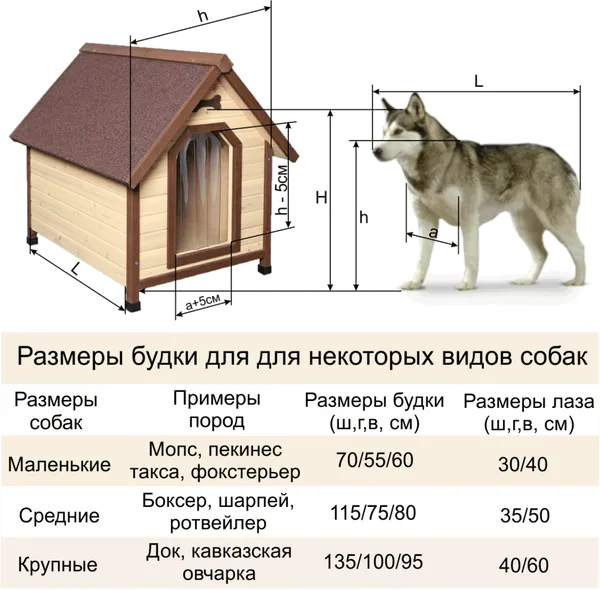  Строительство, Позновательное видео, Конура, Животные, Видео, Длиннопост